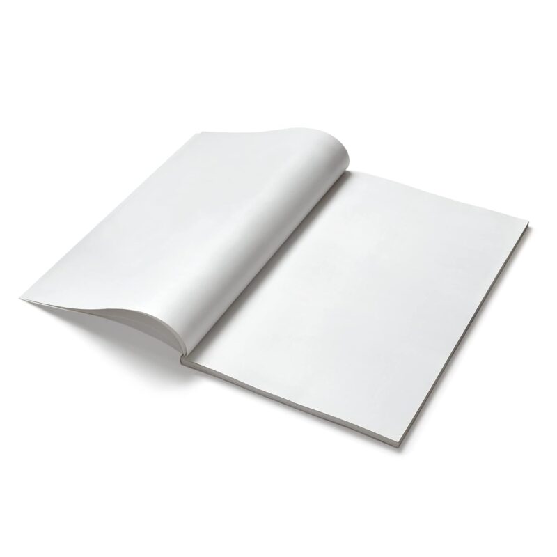 Classmate Long Book - Unruled, 160 Pages, 330 mm x 210 mm - Pack Of 2