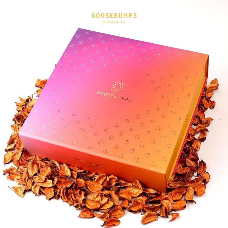 Goosebumps Carnival Diwali Gift Box of Pack of 9 | Celebration Gift Box | Gift Hamper For Friends and Family | Corporate Diwali Gift Box | Assorted Mix of Masala Fruits 55g| Perfect Festive Gift for Family & Friends| Gift Hamper | Ideal Gift for All Occasions I Personal Gift Box | Premium Gift Hamper, 495g