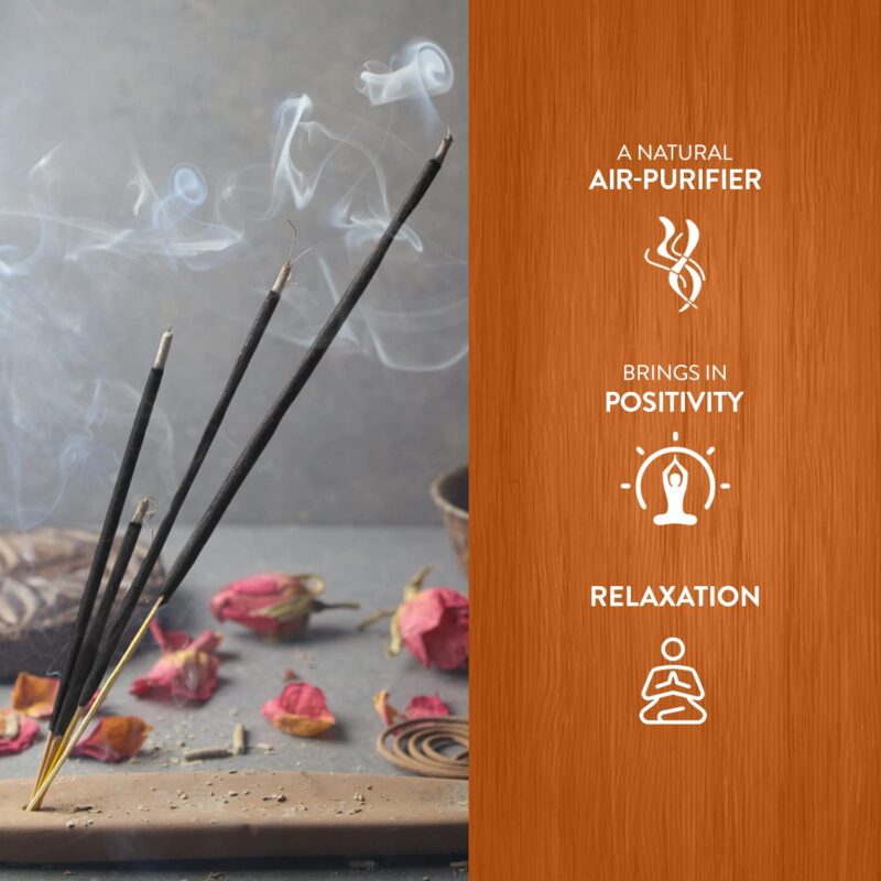 Hem Cinnamon Black Incense Sticks | Agarbatti for Home Freshness, Prayer, Positive Energy & Meditation | Handcrafted & Low Smoke | Pack of 120 Sticks | Burning Time: 35-40 Minutes