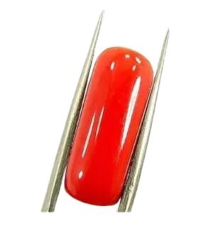 Natural Red Coral Gemstone, 7 Ratti, Moonga Stone
