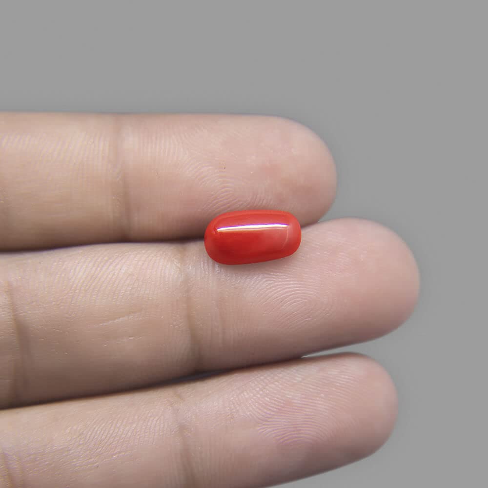 Natural Red Coral Gemstone, 4.50 Ratti, Moonga Stone