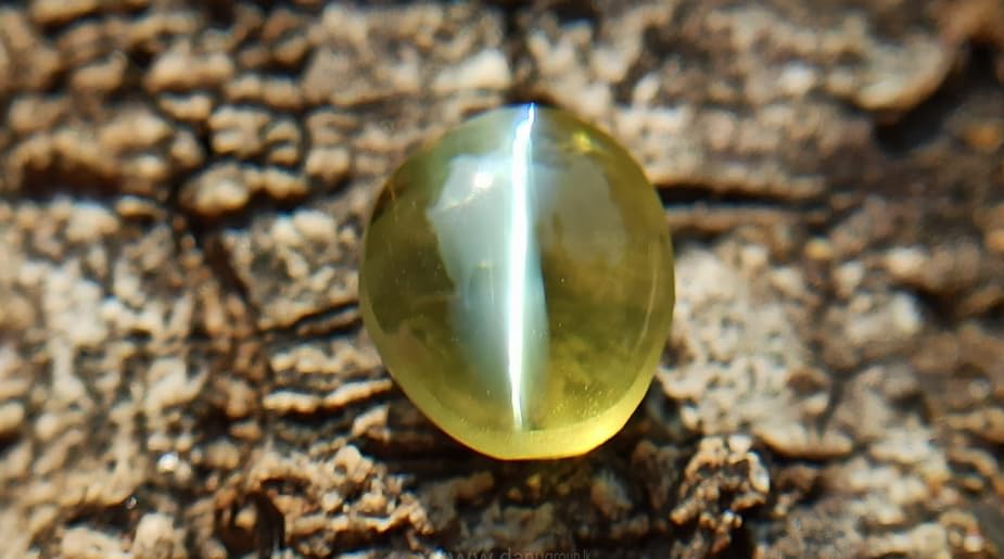 Gemstone Gallery Highly Precious Cats Eye Stone Original Certified 5 Ratti 4.5 Carat Green Cats Eye Stone Chrysoberyl Cats Eye Gemstone Lehsunia Stone Oval Shape Lehsuniya Vaiduryam Stone Rashi Ratan - Image 2