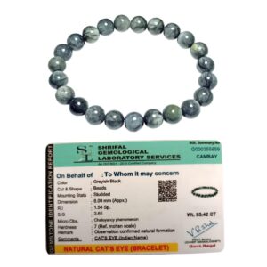 aldomin Premium Natural Cat's Eye/Lehsuniya - Good Luck & Protection Bracelet - Bead Size 8 MM